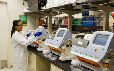 История открытия закиси азота: от алхимии до медицины