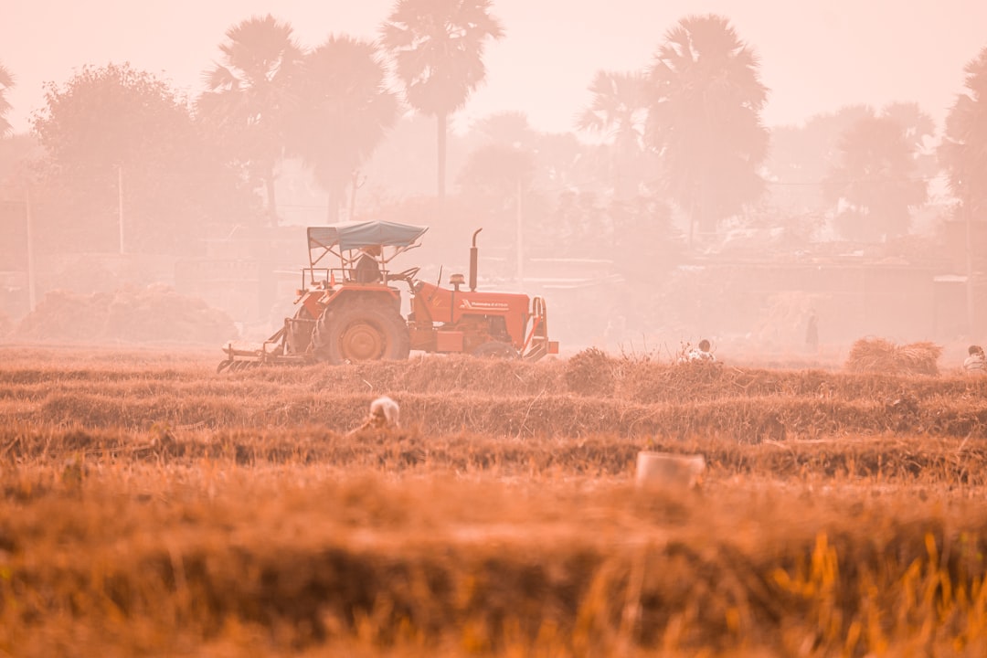 Влияние закиси азота (N2O) на экологию: причины и последствия