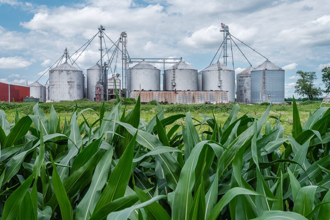 Производство закиси азота: технологии и применение