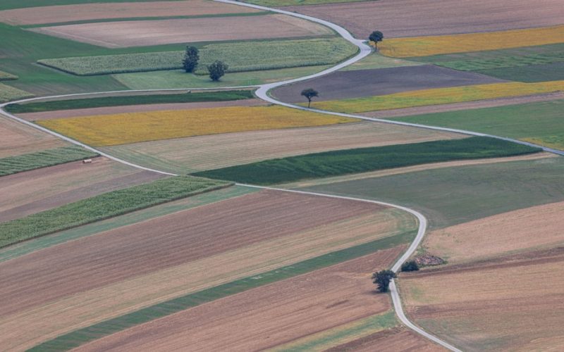 Влияние окиси азота на экосистемы: проблемы и решения